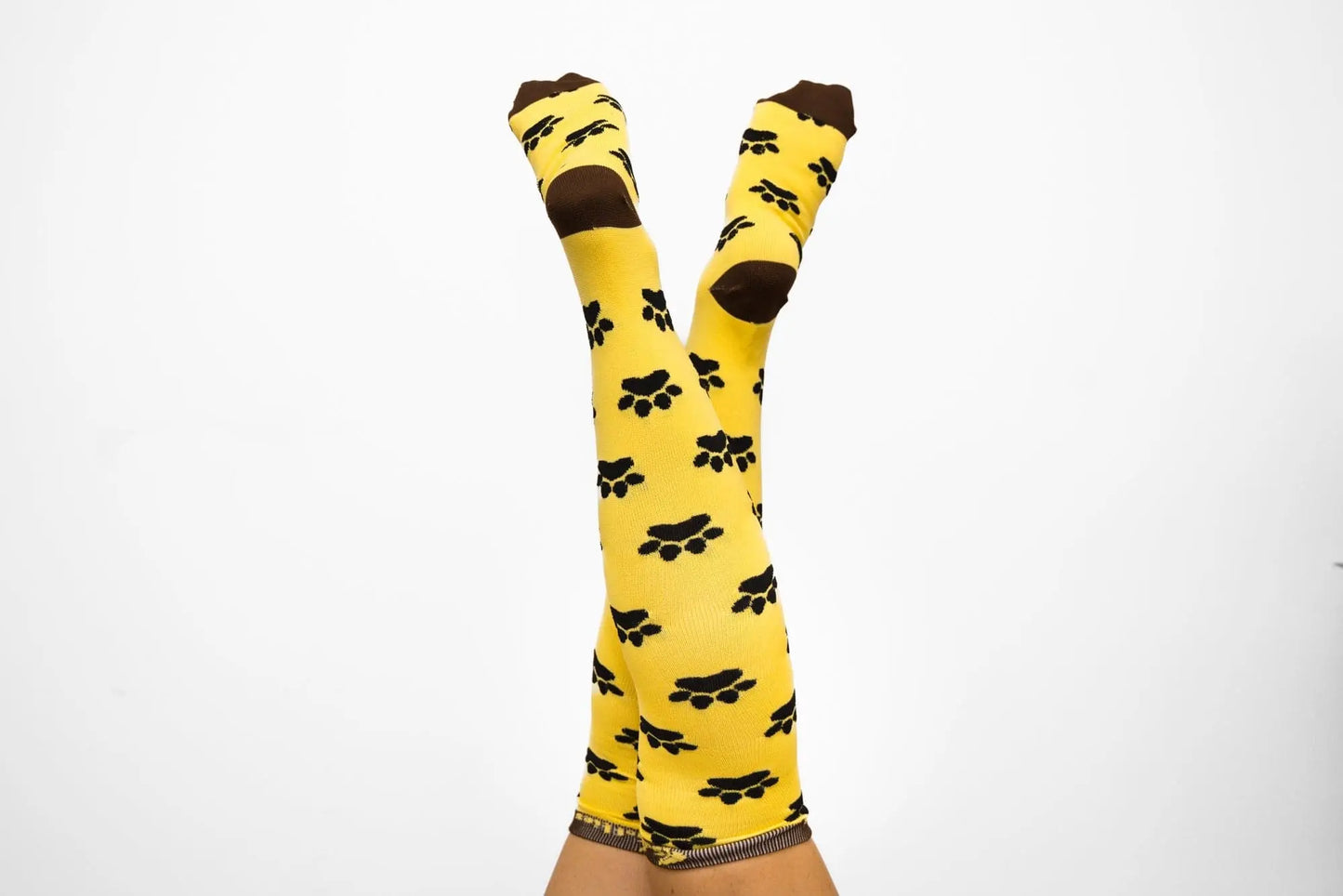Softies Women's Fashion Dog Paws Nursing Socks DPS01 - City Workwear