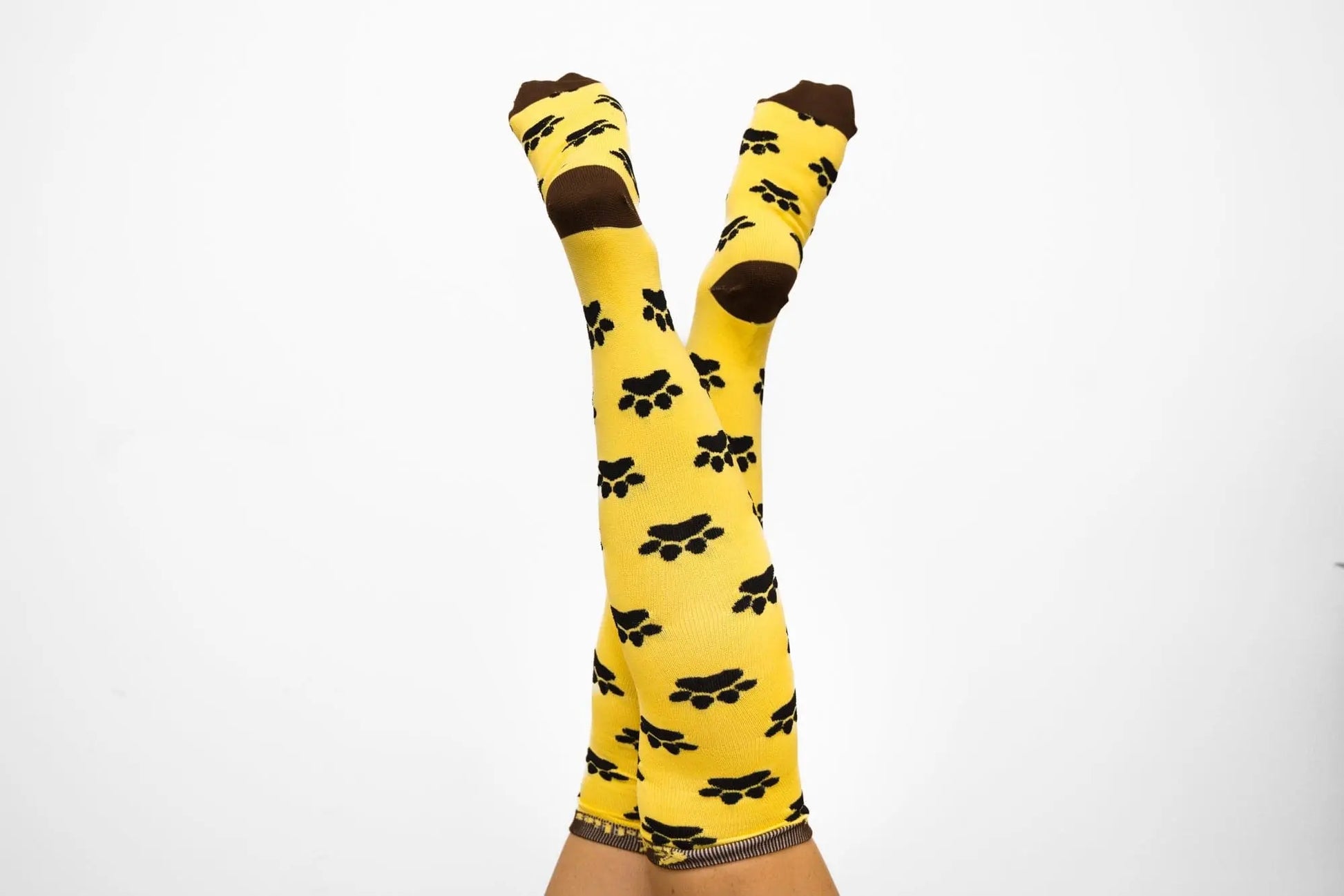 Softies Women's Fashion Dog Paws Nursing Socks DPS01 - City Workwear